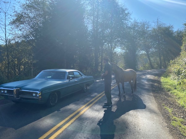 Vintage car and horse